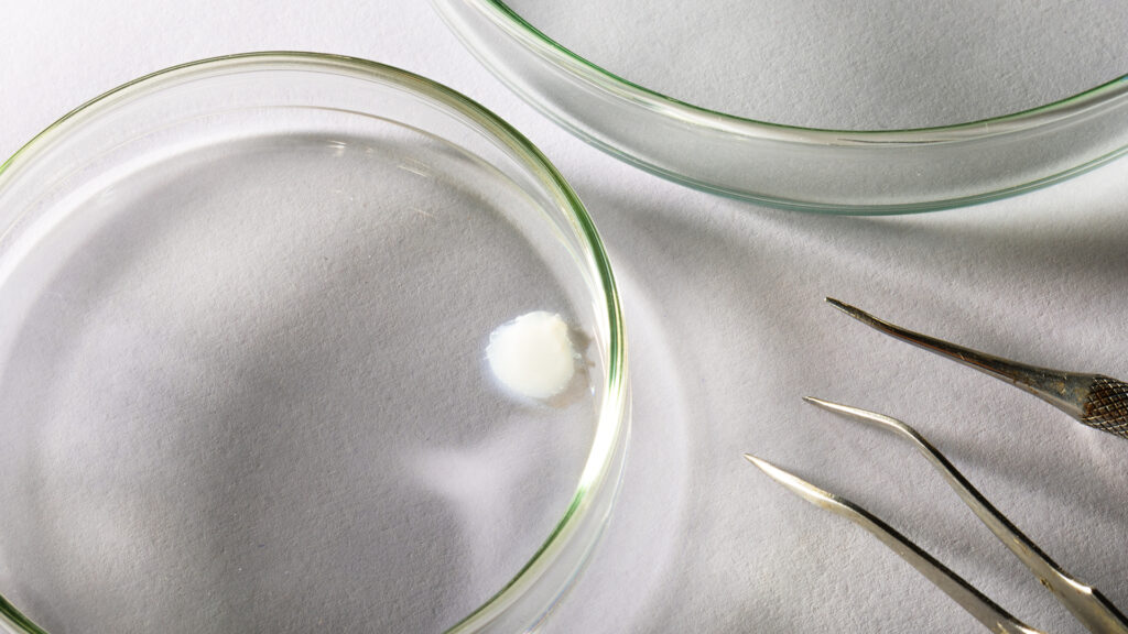 Avon desenvolve primeira pele bioimpressa em laboratório que reproduz efeitos da menopausa