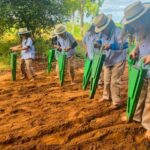 Gincana “Pequenino Agricultor” promove aprendizado prático e valorização da história no campo em Amambai Gincana “Pequenino Agricultor” promove aprendizado prático e valorização da história no campo em Amambai