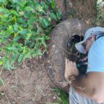 Aldeia Amambai recebe Dia D de combate às arboviroses com ação integrada