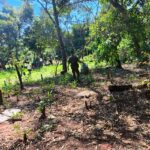 Aldeia Amambai recebe Dia D de combate às arboviroses com ação integrada