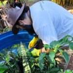 Aldeia Amambai recebe Dia D de combate às arboviroses com ação integrada