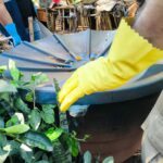 Aldeia Amambai recebe Dia D de combate às arboviroses com ação integrada