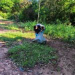 Aldeia Amambai recebe Dia D de combate às arboviroses com ação integrada