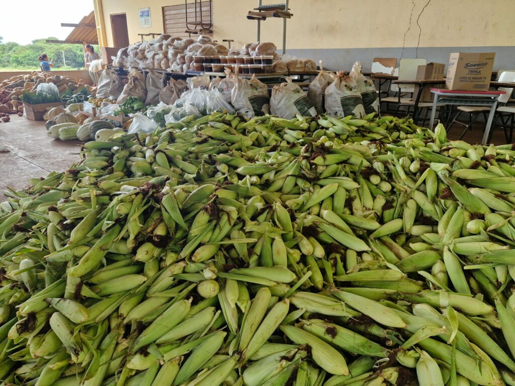 Vereadora Suzana Ulisses tem emenda aprovada para fortalecer agricultura indígena e associações rurais em Amambai Vereadora Suzana Ulisses tem emenda aprovada para fortalecer agricultura indígena e associações rurais em Amambai