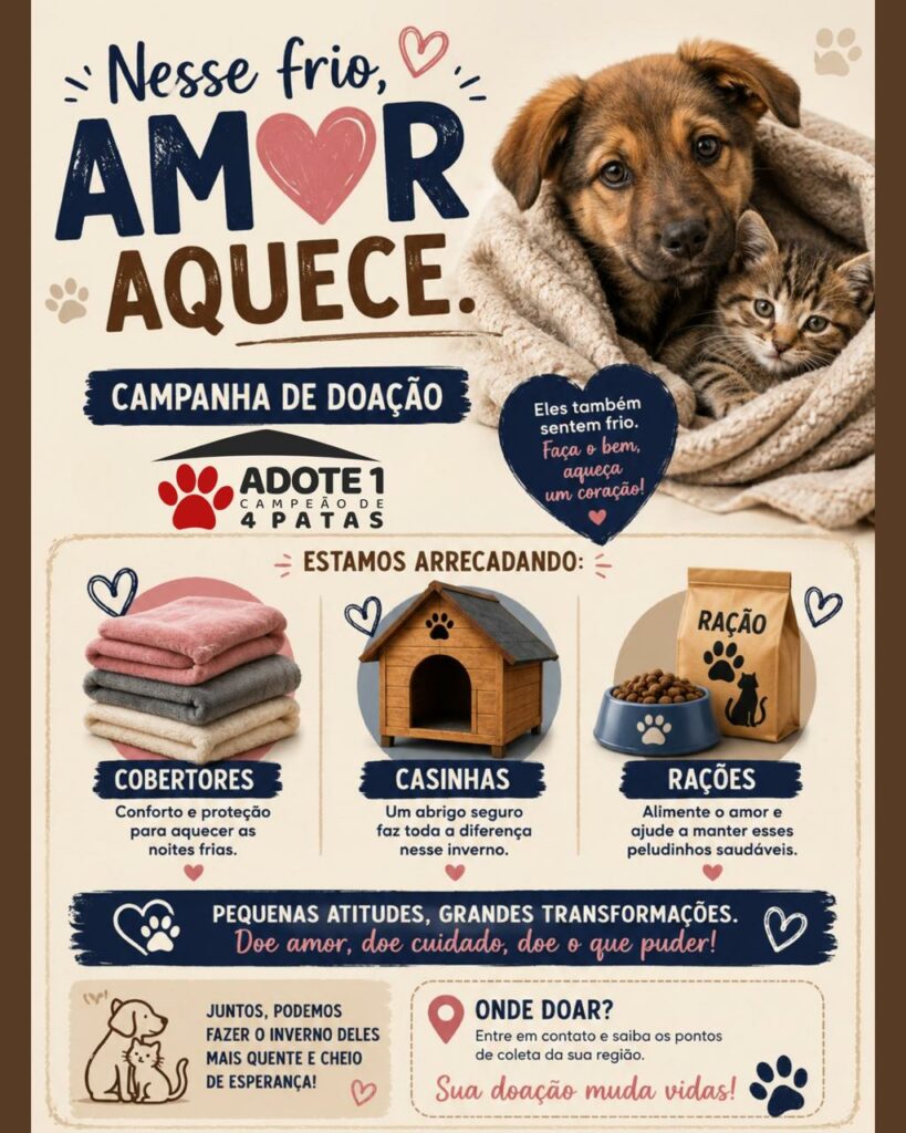 Ajude a aquecer: ONG recebe doações de cobertores, casinhas e ração em Amambai