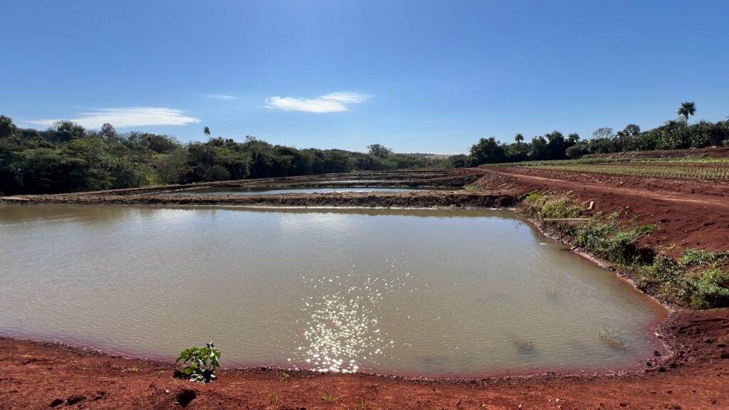 Produção diversificada fortalece a economia local, gera renda e amplia o abastecimento regional em Amambai Produção diversificada fortalece a economia local, gera renda e amplia o abastecimento regional em Amambai