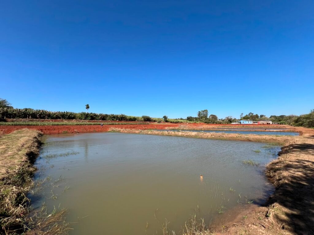Produção diversificada fortalece a economia local, gera renda e amplia o abastecimento regional em Amambai Produção diversificada fortalece a economia local, gera renda e amplia o abastecimento regional em Amambai