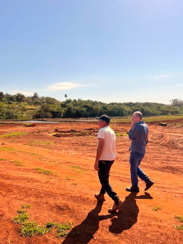 Produção diversificada fortalece a economia local, gera renda e amplia o abastecimento regional em Amambai Produção diversificada fortalece a economia local, gera renda e amplia o abastecimento regional em Amambai