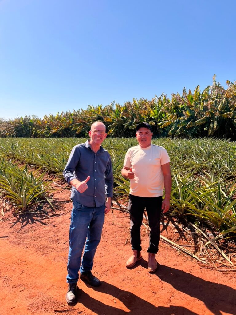 Produção diversificada fortalece a economia local, gera renda e amplia o abastecimento regional em Amambai Produção diversificada fortalece a economia local, gera renda e amplia o abastecimento regional em Amambai
