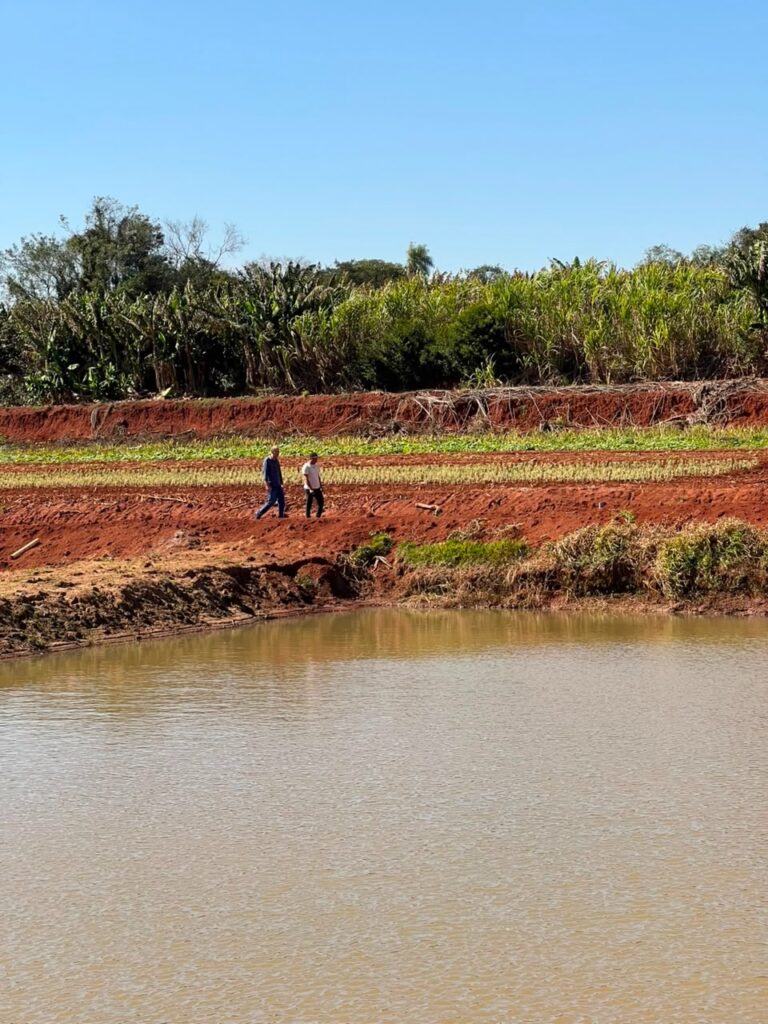 Produção diversificada fortalece a economia local, gera renda e amplia o abastecimento regional em Amambai Produção diversificada fortalece a economia local, gera renda e amplia o abastecimento regional em Amambai