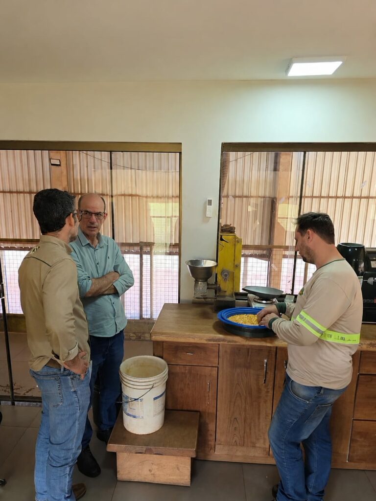 Geração de empregos, renda e crescimento econômico em Amambai