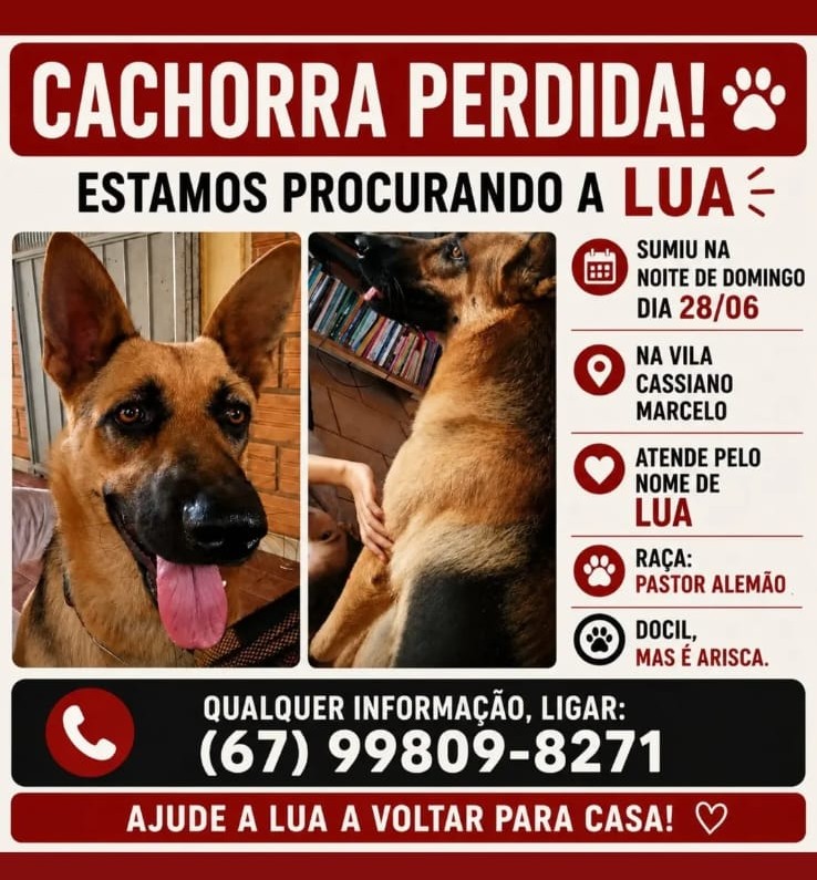 Família procura por cachorra desaparecida na Vila Cassiano Marcelo, em Amambai Família procura por cachorra desaparecida na Vila Cassiano Marcelo, em Amambai