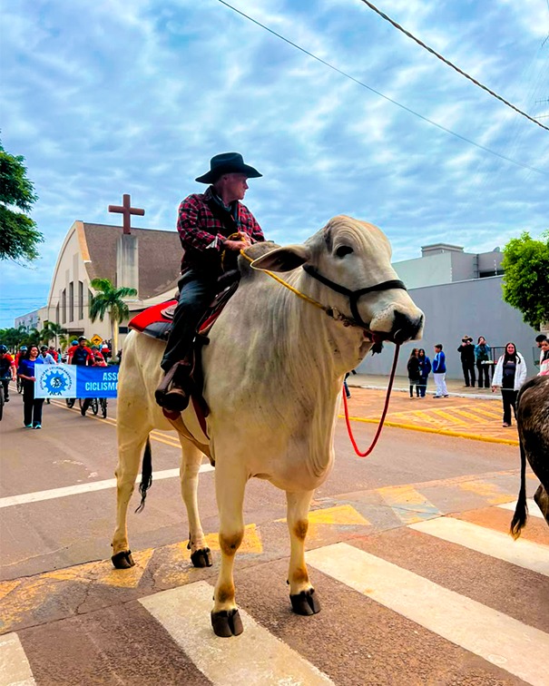 Desfile Cívico de 7 de Setembro reúne escolas, instituições, empresas e Exército em Amambai Desfile Cívico de 7 de Setembro reúne escolas, instituições, empresas e Exército em Amambai