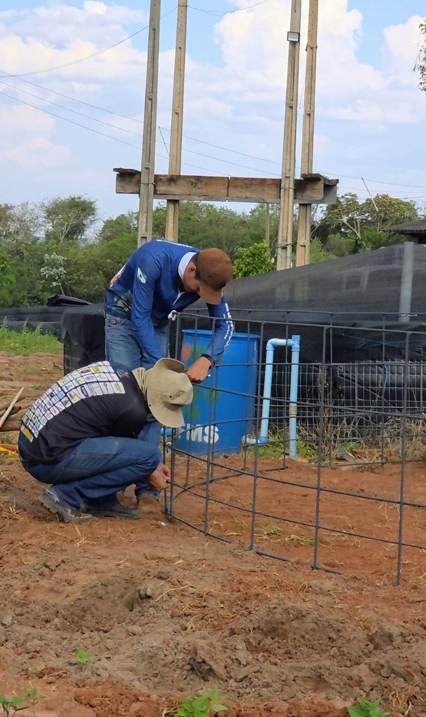 Parceria entre Prefeitura, IFMS e Itaipu impulsiona piscicultura em Amambai Parceria entre Prefeitura, IFMS e Itaipu impulsiona piscicultura em Amambai
