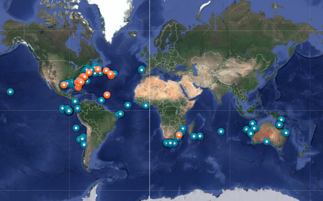  ATÉ AGORA, AS 27 EXPEDIÇÕES DE PESQUISADORES DA OCEARCH GRAMPEARAM 188 TUBARÕESFoto: Divulgação