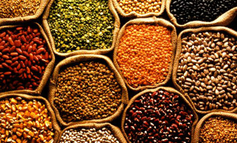 Safra de grãos em 2013 deve crescer 14,2% sobre 2012, aponta IBGE