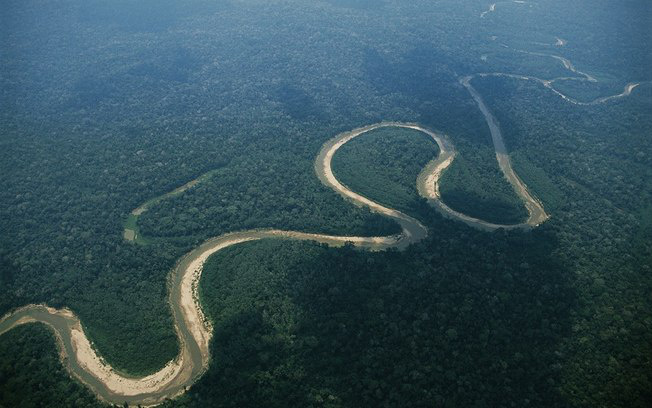 Brasil detém segunda maior área florestal do planeta Brasil detém segunda maior área florestal do planeta