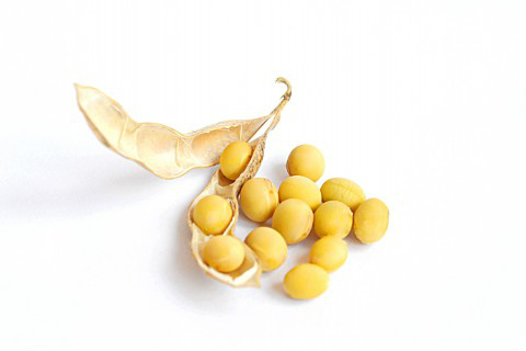 Soja super precoce do Centro-Oeste chega aos produtores na próxima safra Foto: Aprosoja/MS