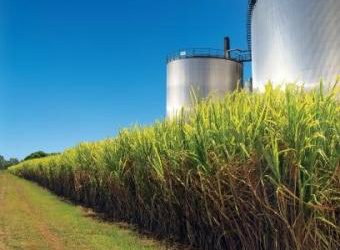 Ministro da Agricultura defende aumento do percentual de álcool na gasolina