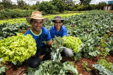 Atualmente, há 191 núcleos e Centros Vocacionais em agroecologia e produção orgânicaFoto: Divulgação 