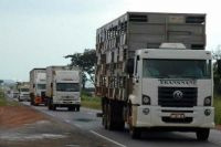 Atividades marcam Semana do Caminhoneiro em Campo Grande