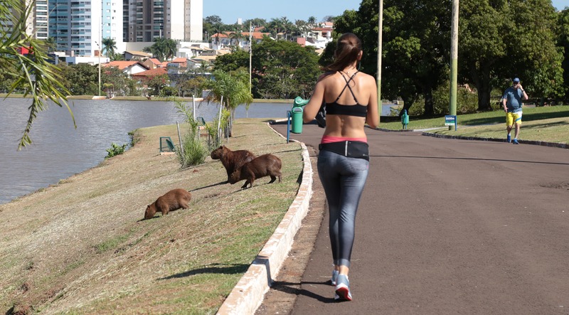 Tempo seco em Mato Grosso do Sul requer cuidados especiais Importante evitar exercícios das 10 as 16h. Foto: Denilson Secreta