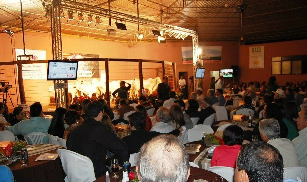 Agronegócio e eleições são destaques na abertura da Expobai 2014 Os leilões de touros, com oferta de 1,2 mil animais, têm projeção de R$ 2 milhões em vendas.