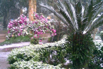 Pode nevar nas próximas horas em parte de Santa Catarina e do Rio Grande do Sul, Pode nevar nas próximas horas em parte de Santa Catarina e do Rio Grande do Sul,