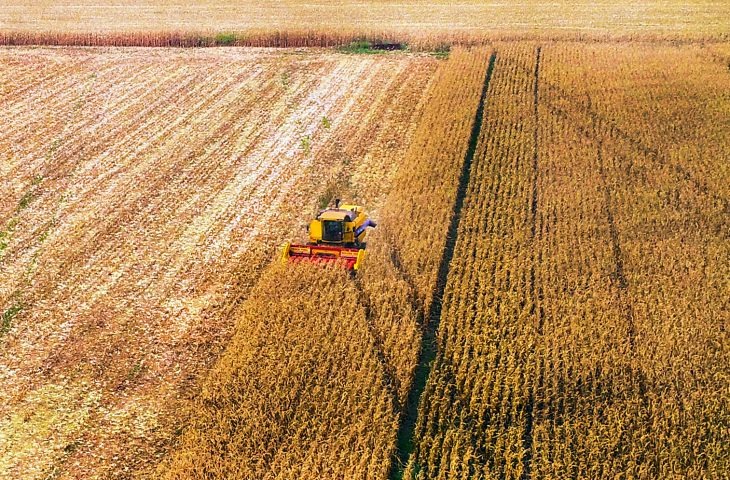 Mais de 60% da área cultivada com soja em Mato Grosso do Sul já foi colhida Foto: divulgação