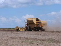 Exportações do agronegócio caem em 2015 e ficam em US$ 88,2 bilhões