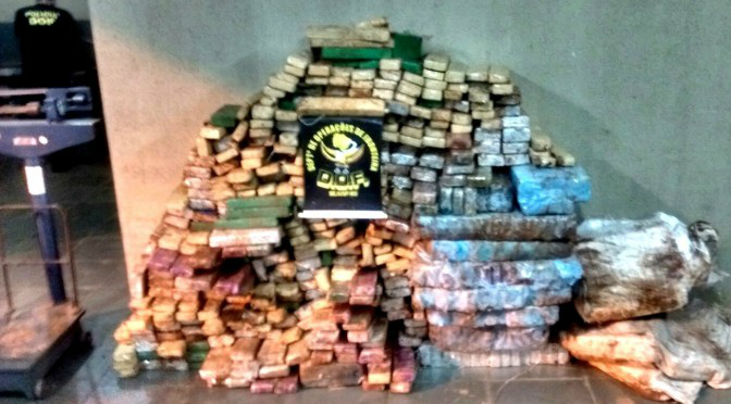 DOF apreende 600 Kg de maconha