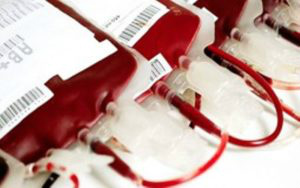 Febre amarela leva a novos critérios para doação de sangue Foto: Divulgação