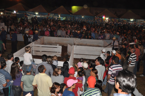 Festa do Arraiá movimenta final de semana em Amambai Milhares de pessoas prestigiaram o evento que contou com diversas atrações.
