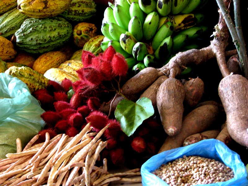 Agricultura familiar apresenta oportunidades e desafios na produção de alimentos Foto: Divulgação