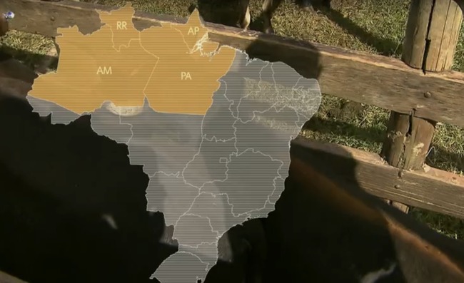 Brasil está perto do novo status sanitário Estados que ainda faltam regularizar a situação.