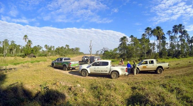 Operação Veredas retira três mil cabeças de gado de Área de Proteção Ambiental