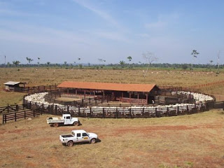 Equipes de fiscalização da Iagro serão reforçadas em nove municípios do Estado