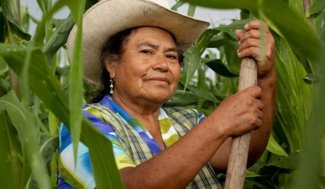 Anater destaca protagonismo da mulher rural na produção de alimentos Foto: Divulgação