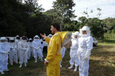 Apicultura deve ser referência econômica de MS em até 10 anos Apicultura deve ser referência econômica de MS em até 10 anos