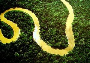 Vista do Rio Amazonas (Creative Commons)