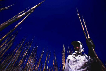 Governo deve tomar medidas mais duras para enfrentar violência no campo
