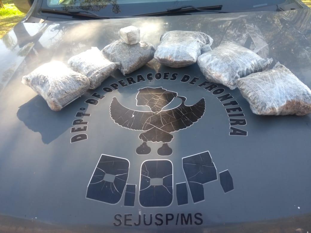 A droga foi adquirida em Coronel Sapucaia / Foto: Assessoria DOF