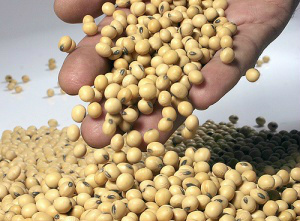 Cotação da Soja em Grão Sc (60kg) para Mato Grosso do Sul
