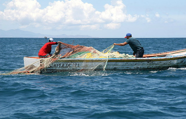 Pesca anuncia R$ 12 milhões para comitês de gestão Pesca anuncia R$ 12 milhões para comitês de gestão