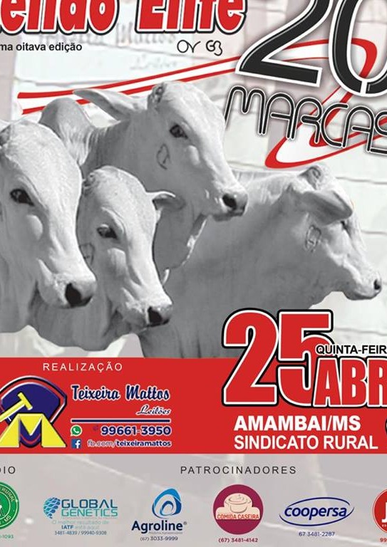 Agenda de eventos para Amambai e região