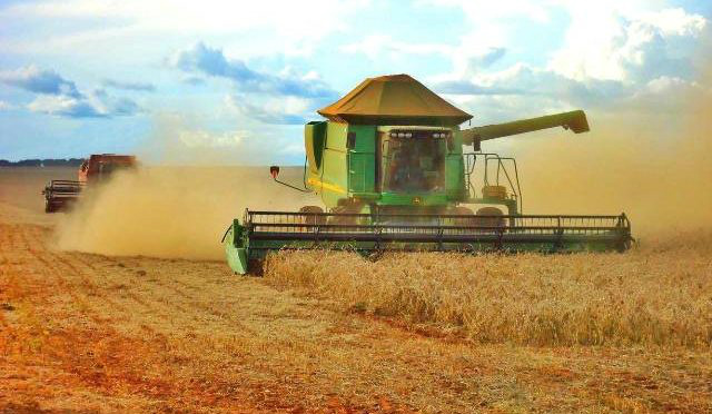 Retração do PIB acende alerta e governo aposta em safra Foto: Divulgação