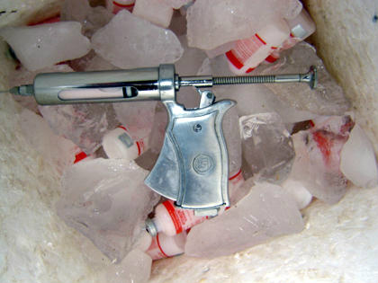 Foto divulgação - Seprotur