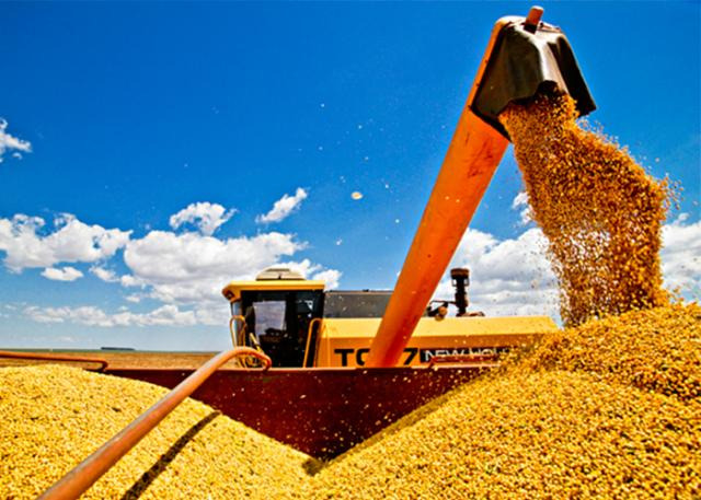 MS colhe 13 milhões de toneladas de soja e bate recorde de produção Foto: divulgação