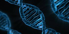 Qual é a espécie mais geneticamente diversa do mundo? Foto: divulgação