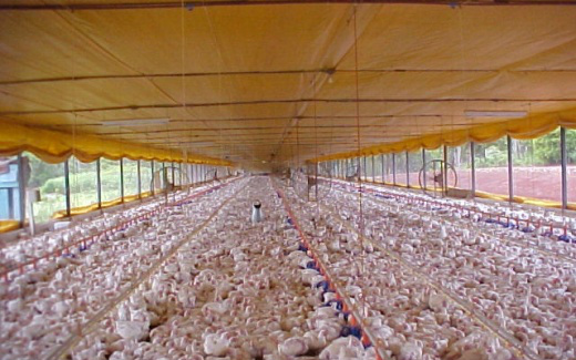 Ministério discute projeto de compartimentação